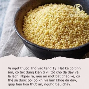 Hạt kê nếp vàng SATOSO 1kg thượng hạng giàu dưỡng chất tốt cho sức khỏe