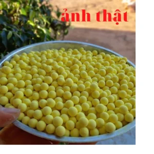 Viên Nghệ Mật Ong Nguyên Chất -Làm Đẹp Da - Hỗ Trợ Người Đau Dạ Dày, Tốt Cho Phụ Nữ Sau Sinh