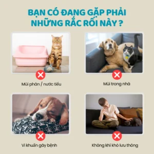 Dung dịch khử mùi nước tiểu, khử khuẩn phòng, khử mùi chậu cát chó mèo SANODYNA PET giúp khử mùi hôi khai tận gốc 5L